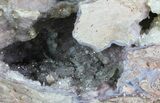 Crystal Filled Dugway Geode (Polished Half) #67479-1